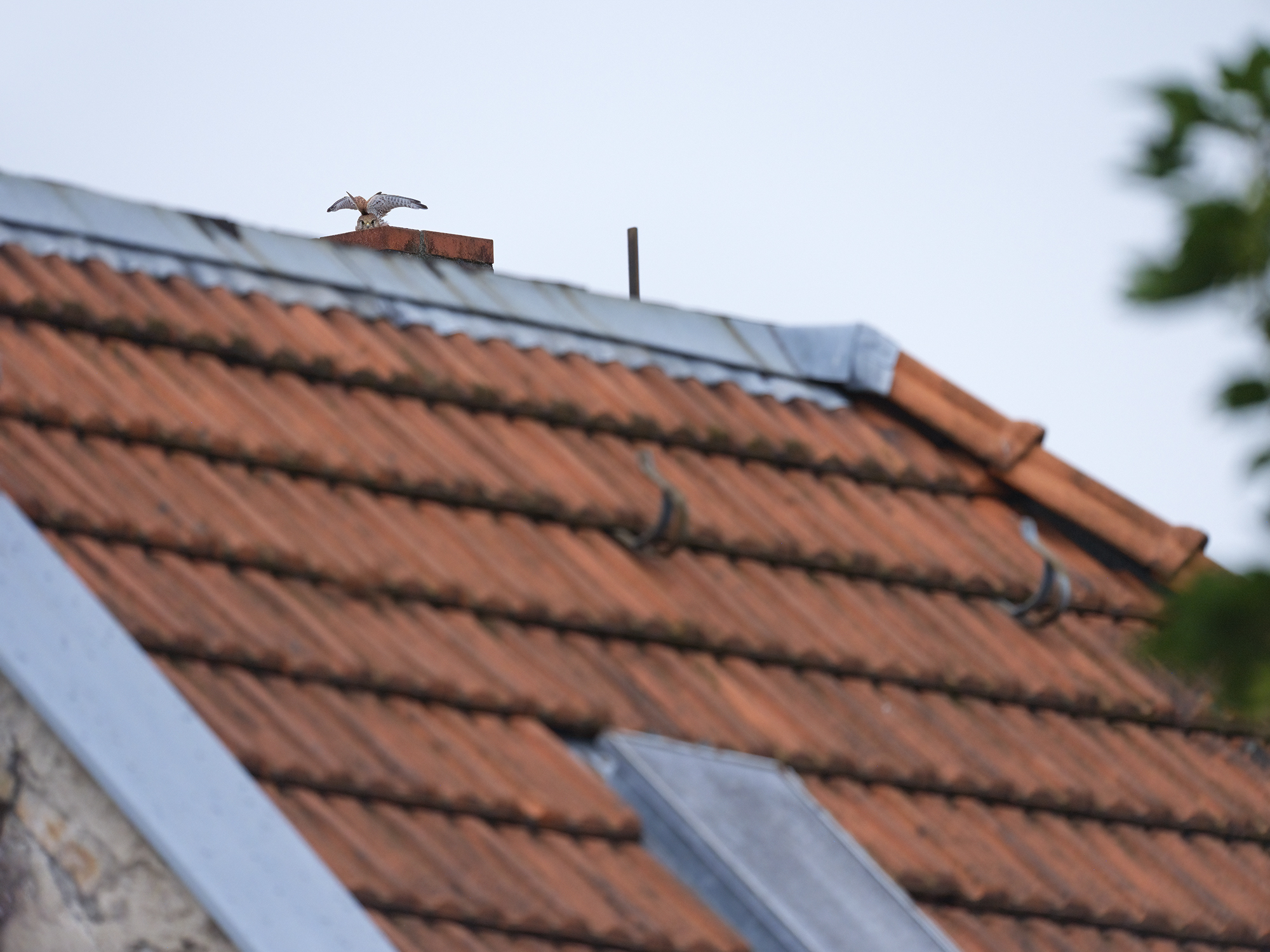 Vorbereitungen zum Abflug